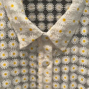 Zara Cropped Daisy Print Blouse